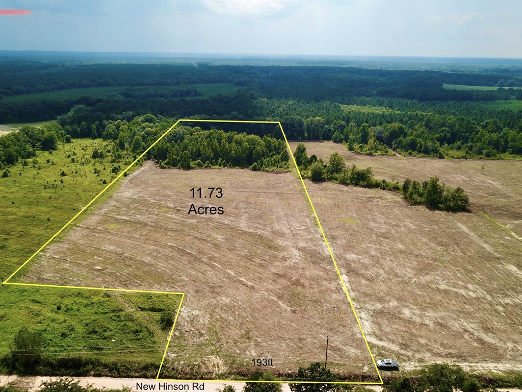 L5 New Hinson Road Slocomb, AL 36375 - Photo 1 of 23