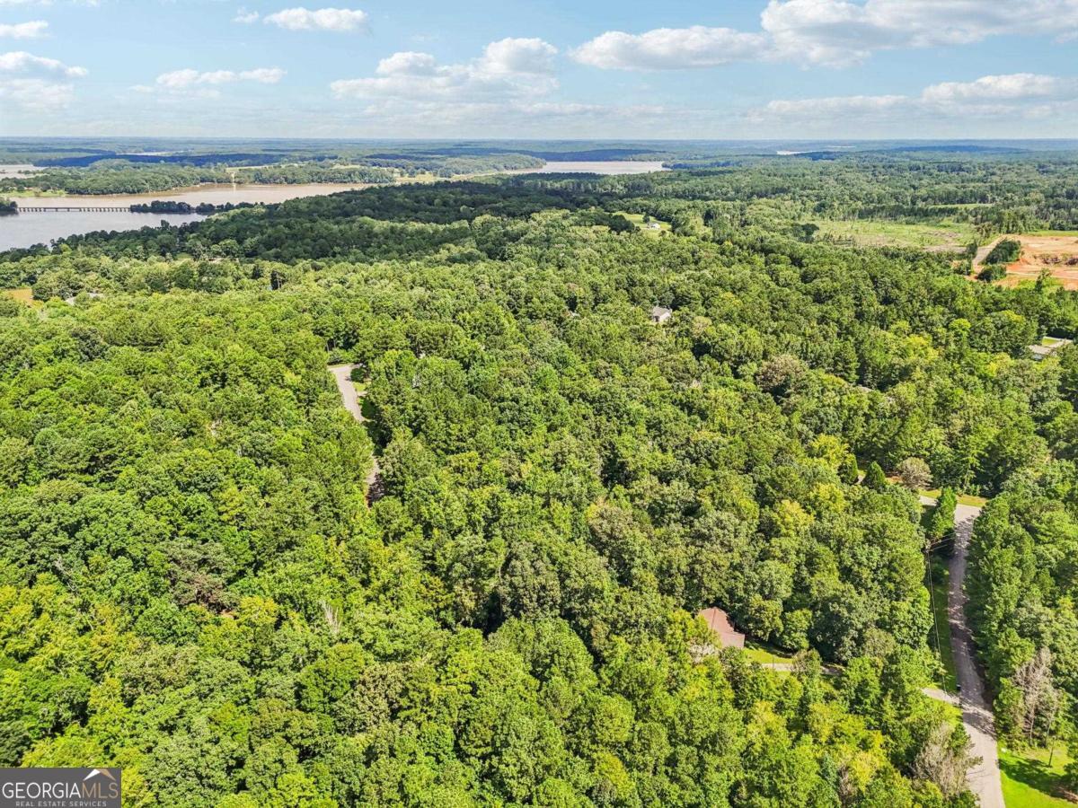 1040 Union Station Road Greensboro, GA 30642 - Photo 2 of 6 a view of a yard with an outdoor space