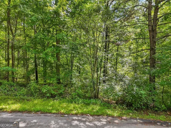 a view of a garden with plants