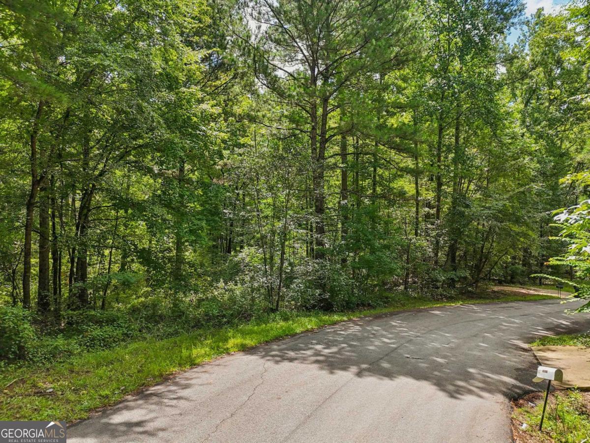 1040 Union Station Road Greensboro, GA 30642 - Photo 5 of 6 a view of a street with a trees