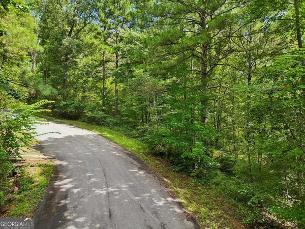 a view of a yard with plants and large trees