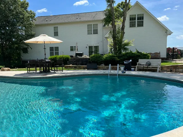 a view of a garden with a plant