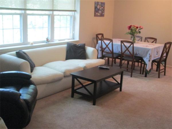 199 Lake Shore Road, Unit 4 Boston, MA 02135 - Photo 6 of 13 a living room with furniture and a window