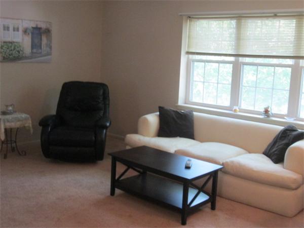 199 Lake Shore Road, Unit 4 Boston, MA 02135 - Photo 7 of 13 a living room with furniture and a window