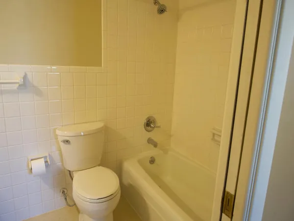 a white toilet sitting next to a bath tub