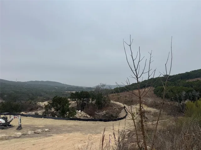 a view of a mountain from a yard