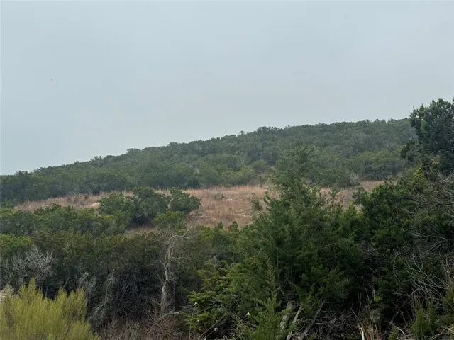 a view of a lake in middle of forest