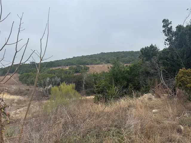 a view of a road with houses in back
