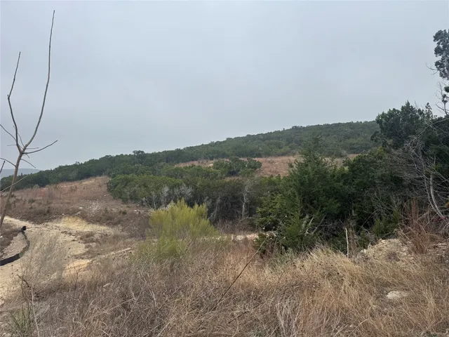 a view of a forest with a forest
