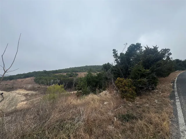 a view of a dry yard with trees