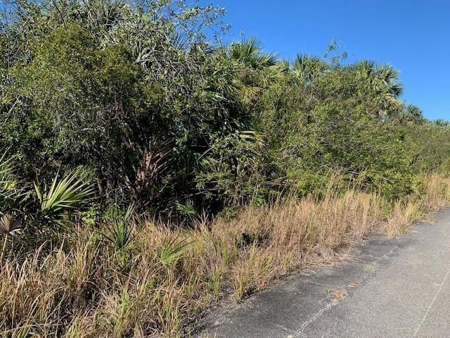 0 Southwest Ginryo Road Palm Bay, FL 32908 - Photo 1 of 4 Photo 1