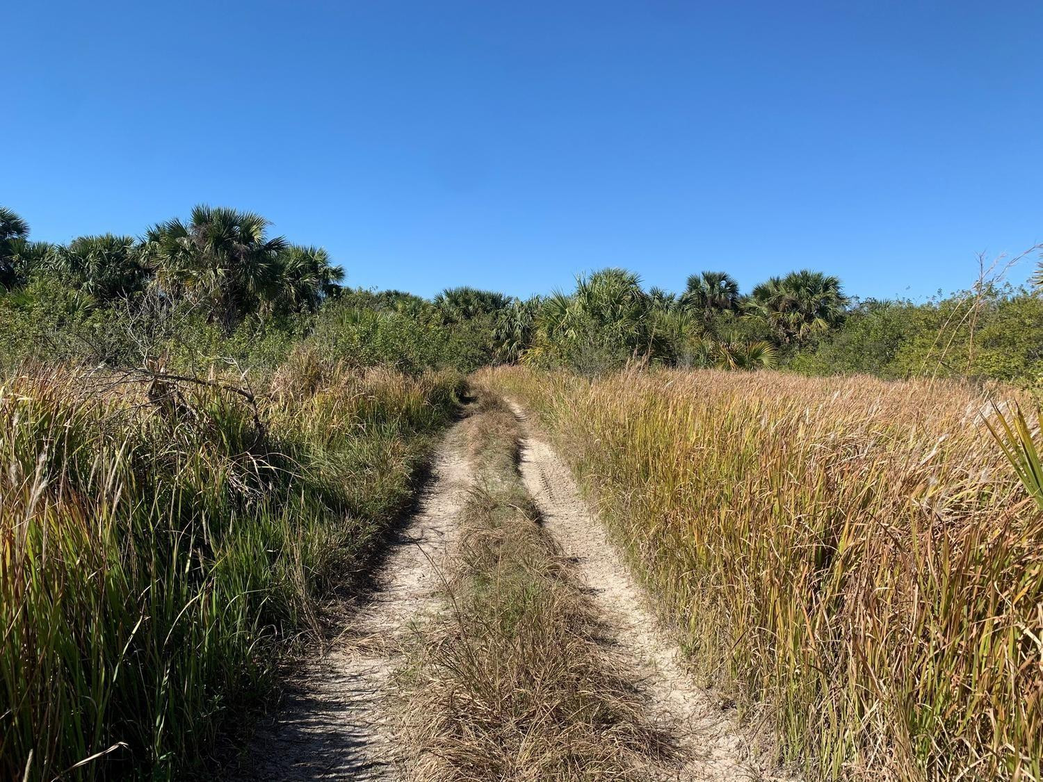 0 Southwest Ginryo Road Palm Bay, FL 32908 - Photo 3 of 4 Photo 3