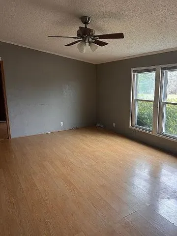 $164,999 | 423 County Road 451, Oak Ridge, MO 63769