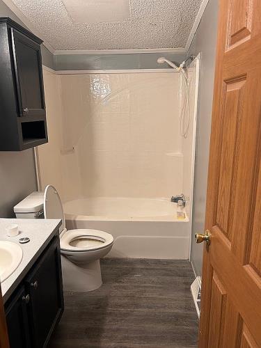 423 County Road 451 Oak Ridge, MO 63769 - Photo 10 of 12