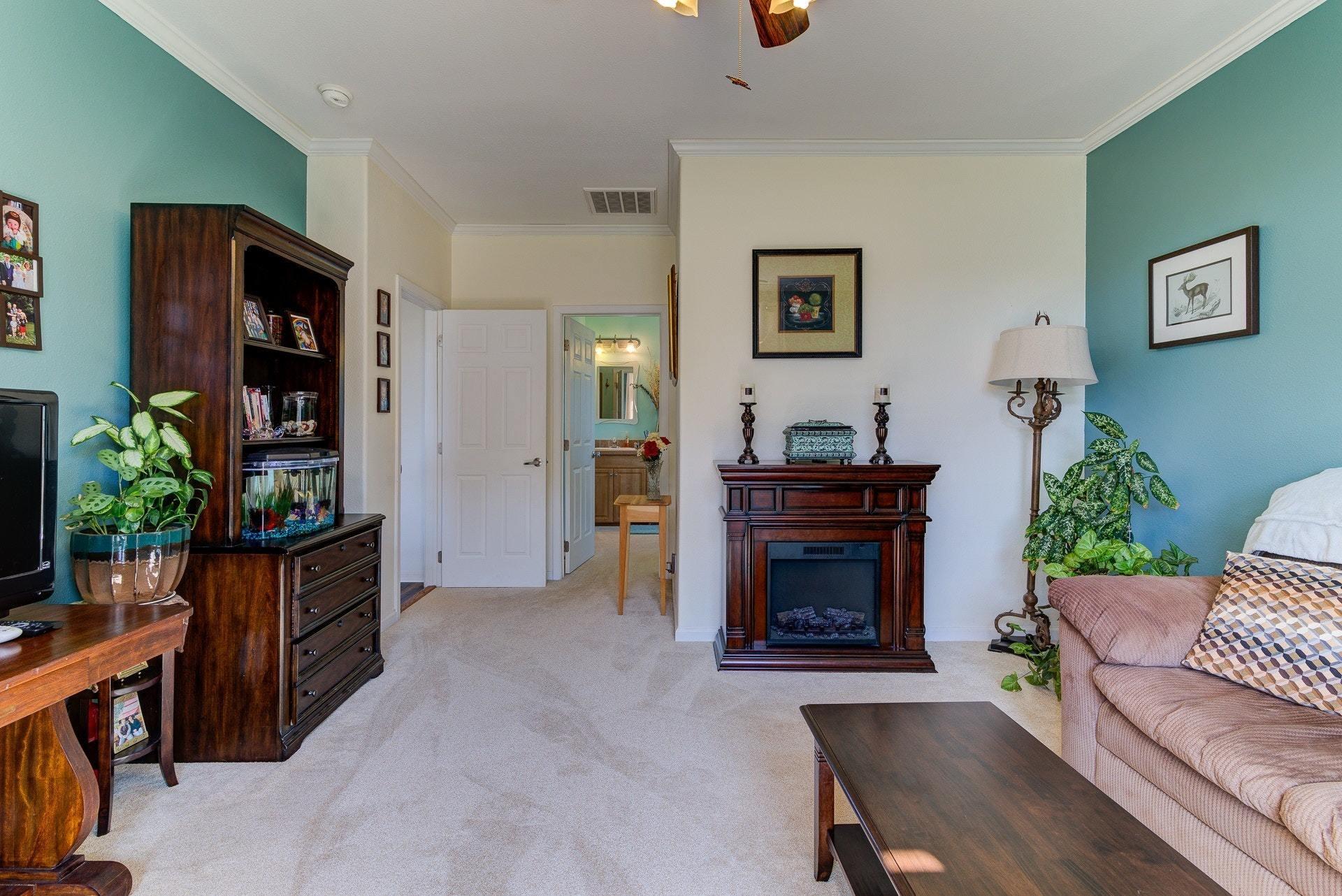 2494 Henry Road Ferrum, VA 24088 - Photo 26 of 60 a living room with furniture a potted plant and a fireplace