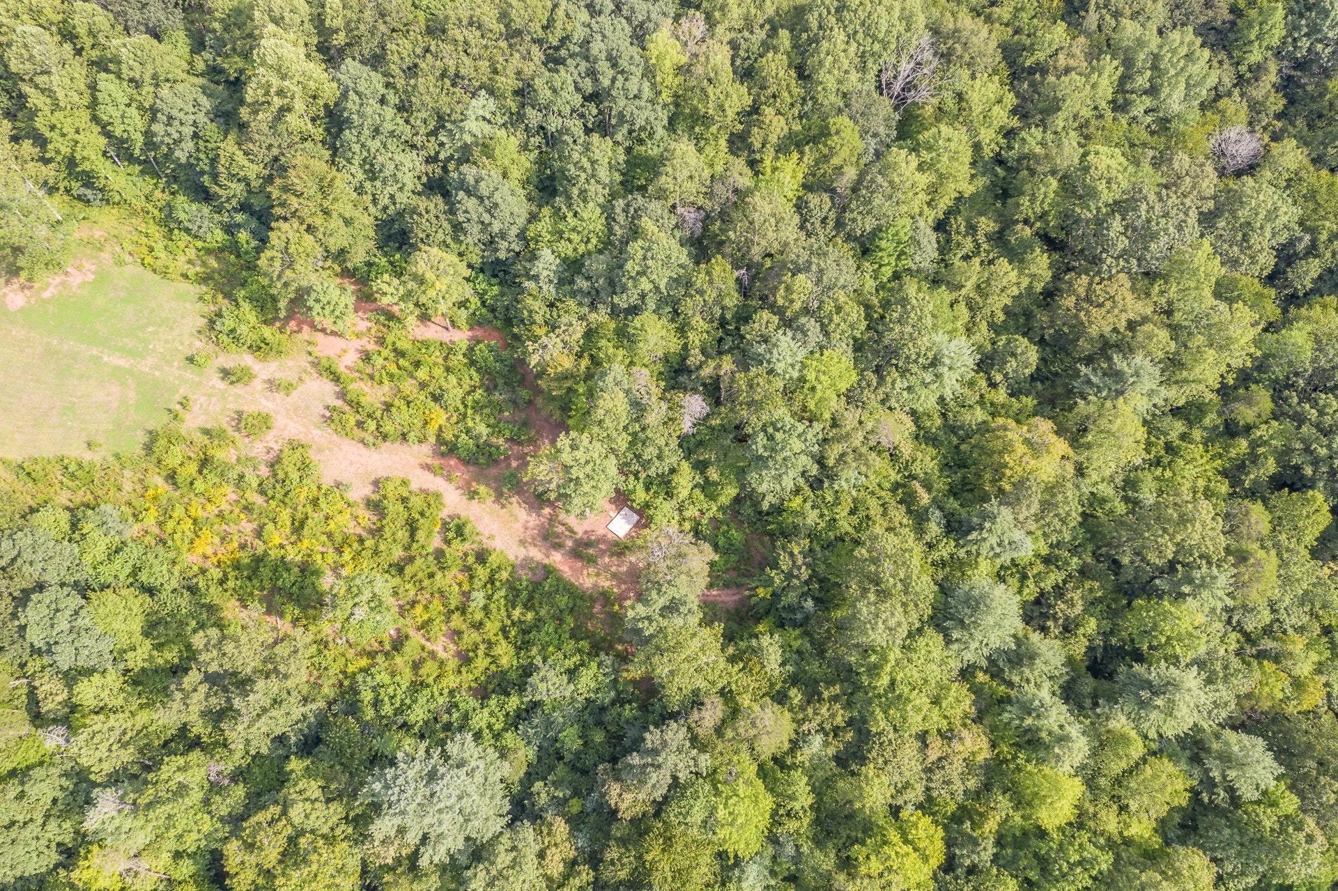 2494 Henry Road Ferrum, VA 24088 - Photo 53 of 60 052-322954-untitled-53_8073121