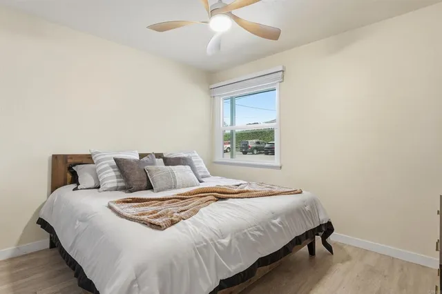 a view of a backyard with potted plants and a large tree