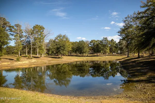 $559,000 | 9900 Little Buck, Vancleave, MS 39565