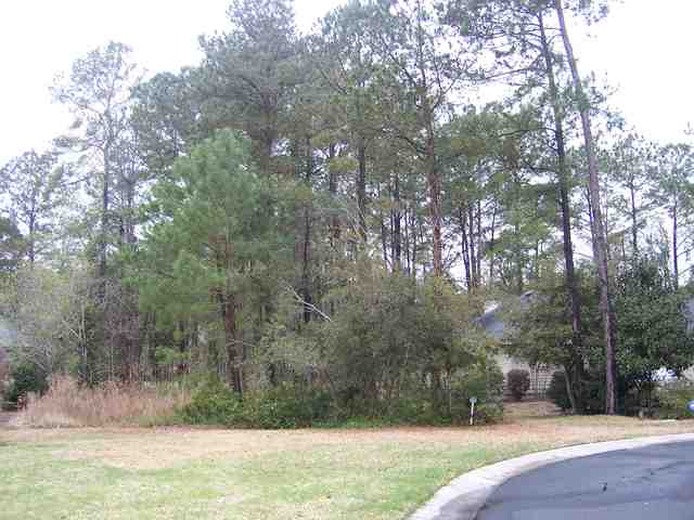 1410 Clipper Road North Myrtle Beach, SC 29582 - Photo 4 of 9 Gallery Image 4
