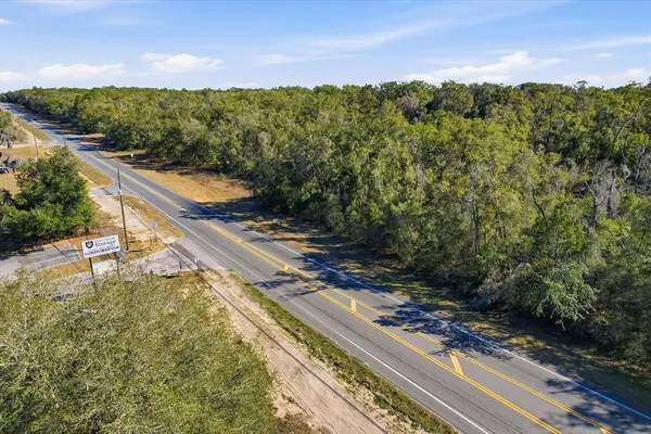 a view of a yard with plants