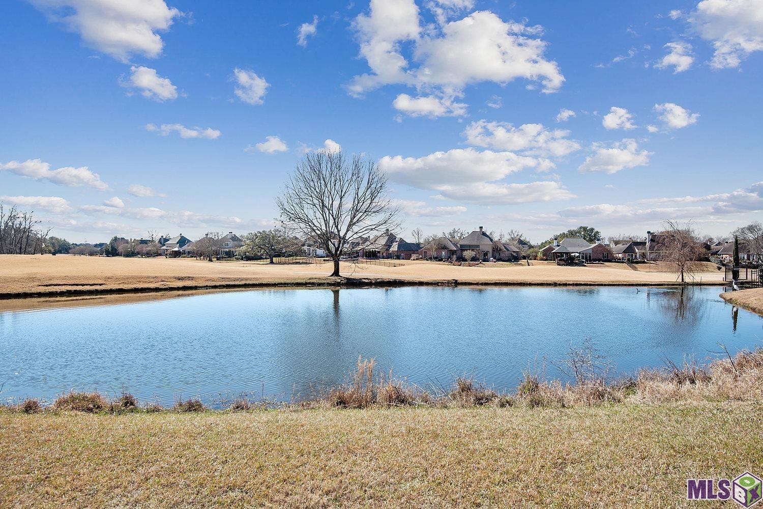 19810 Southern Hills Avenue Baton Rouge, LA 70809 - Photo 4 of 4