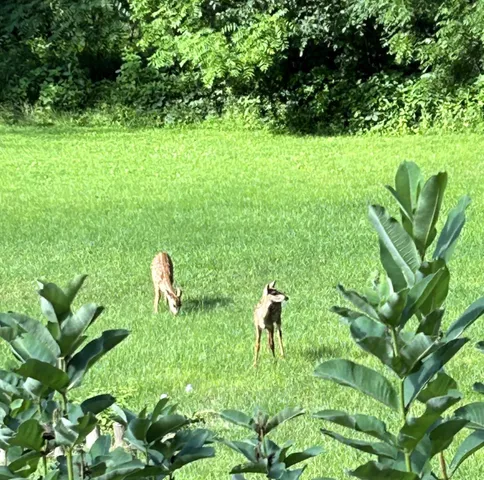 $599,000 | 46748 Torgerson Road, Soldiers Grove, WI 54655