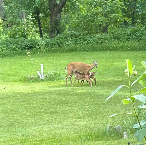 $599,000 | 46748 Torgerson Road, Soldiers Grove, WI 54655