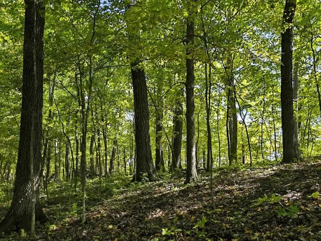 $599,000 | 46748 Torgerson Road, Soldiers Grove, WI 54655