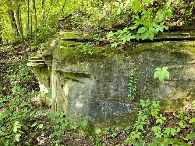 $599,000 | 46748 Torgerson Road, Soldiers Grove, WI 54655