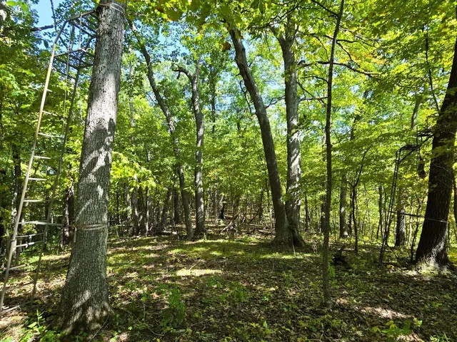 $599,000 | 46748 Torgerson Road, Soldiers Grove, WI 54655