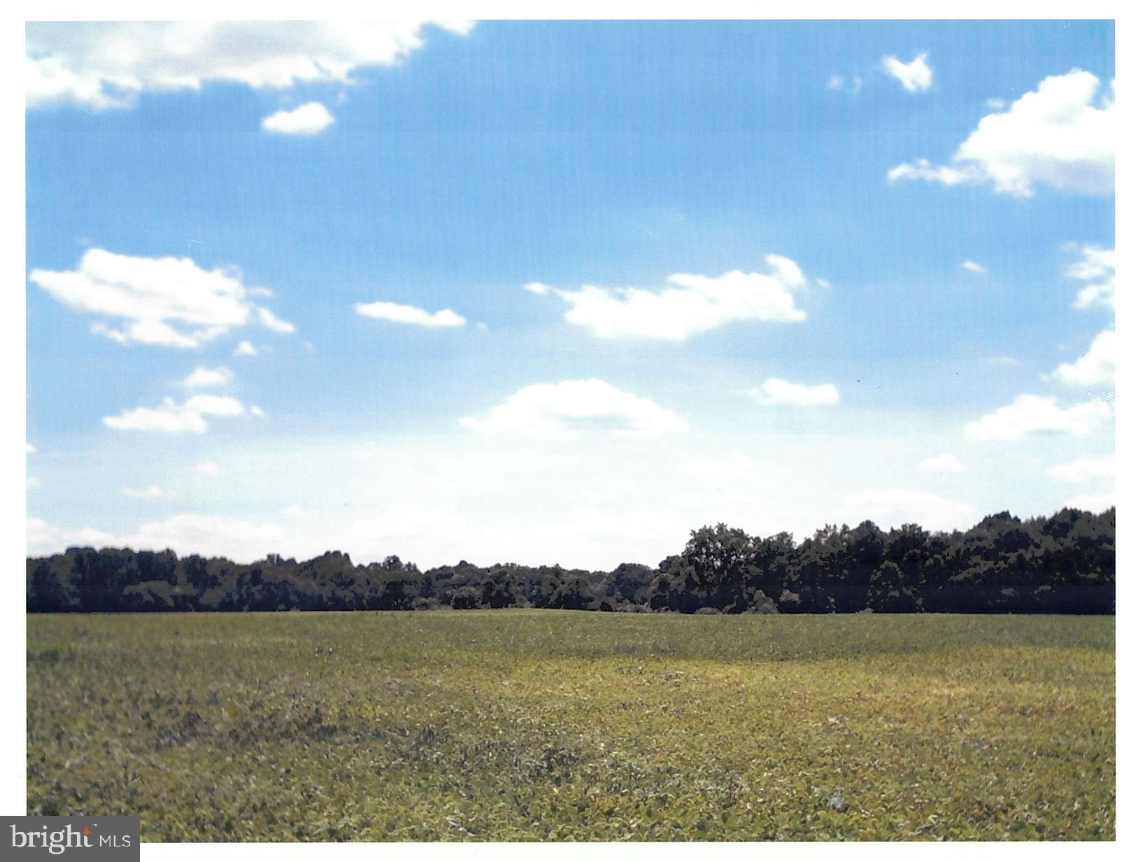 a view of an ocean and a mountain