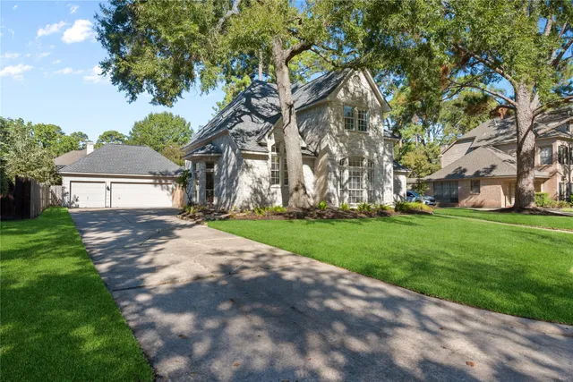 a view of a yard with plants and a trees