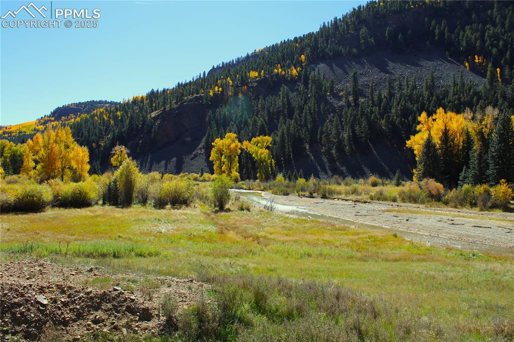 38938 Nf-250 Road Antonito, CO 81120 - Photo 5 of 15 a view of large tree with wooden fence
