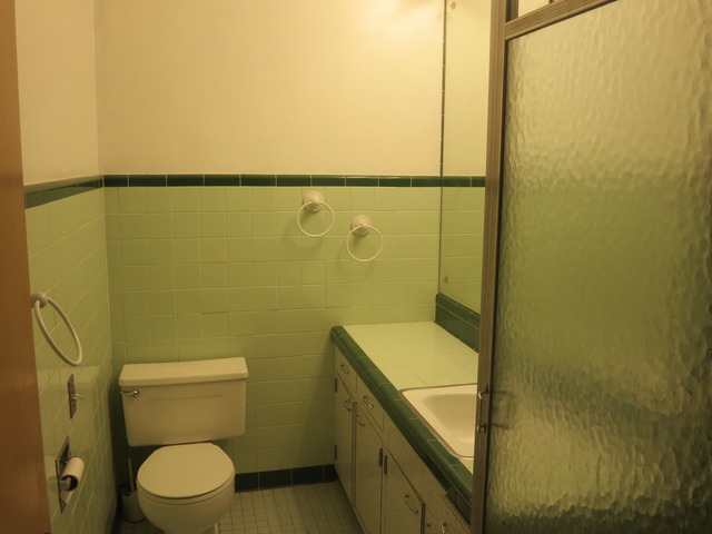 240 W Street Elmhurst, IL 60126 - Photo 12 of 21