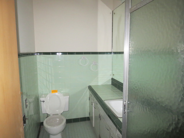 240 W Street Elmhurst, IL 60126 - Photo 15 of 21