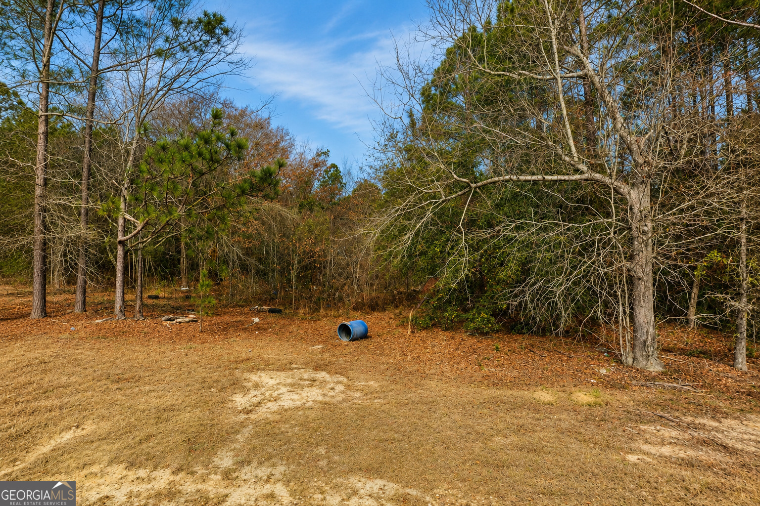 6965 Jim Pruett Road Eastman, GA 31023 - Photo 4 of 6