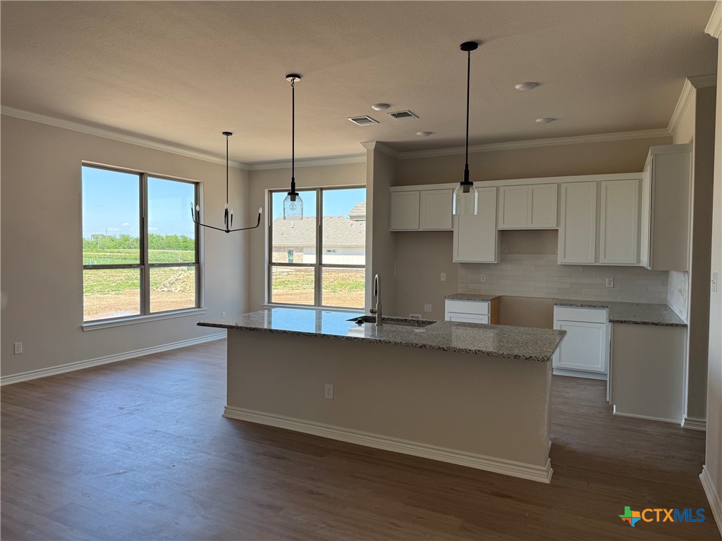 7102 Touchstone Drive Temple, TX 76502 - Photo 5 of 14 a kitchen with stainless steel appliances granite countertop a sink a window and wooden floor