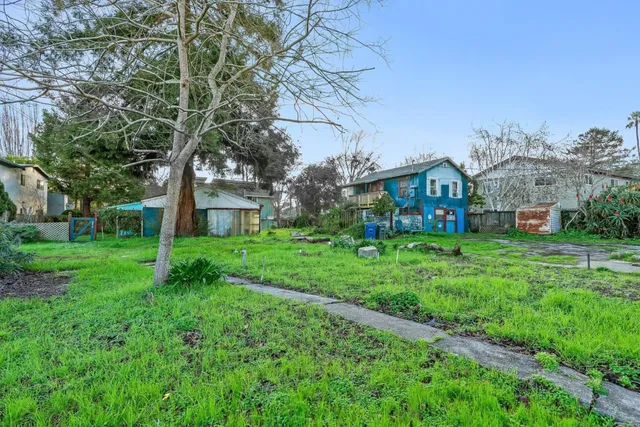 a view of house with a yard and potted plants