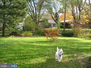 718 Avondale Road Glenside, PA 19038 - Photo 6 of 6 Gallery Image 6