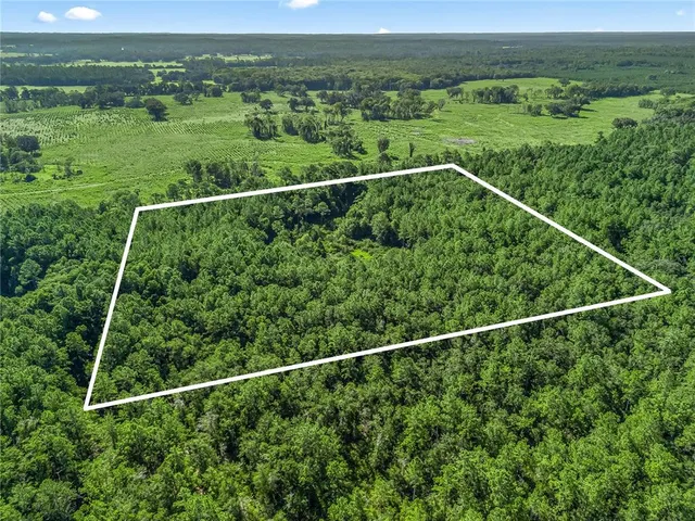 a view of a yard with a forest