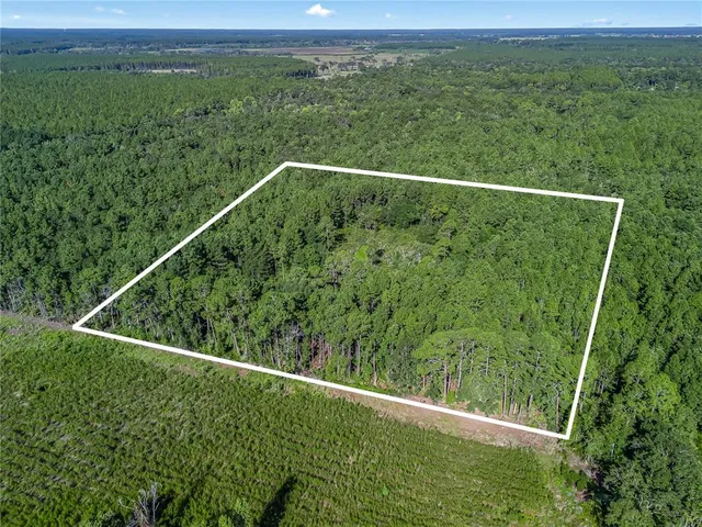 a view of a forest from a balcony