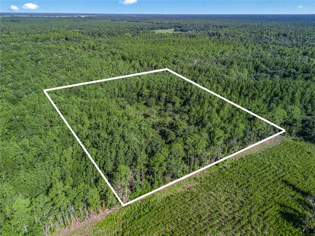 a view of a forest from a balcony