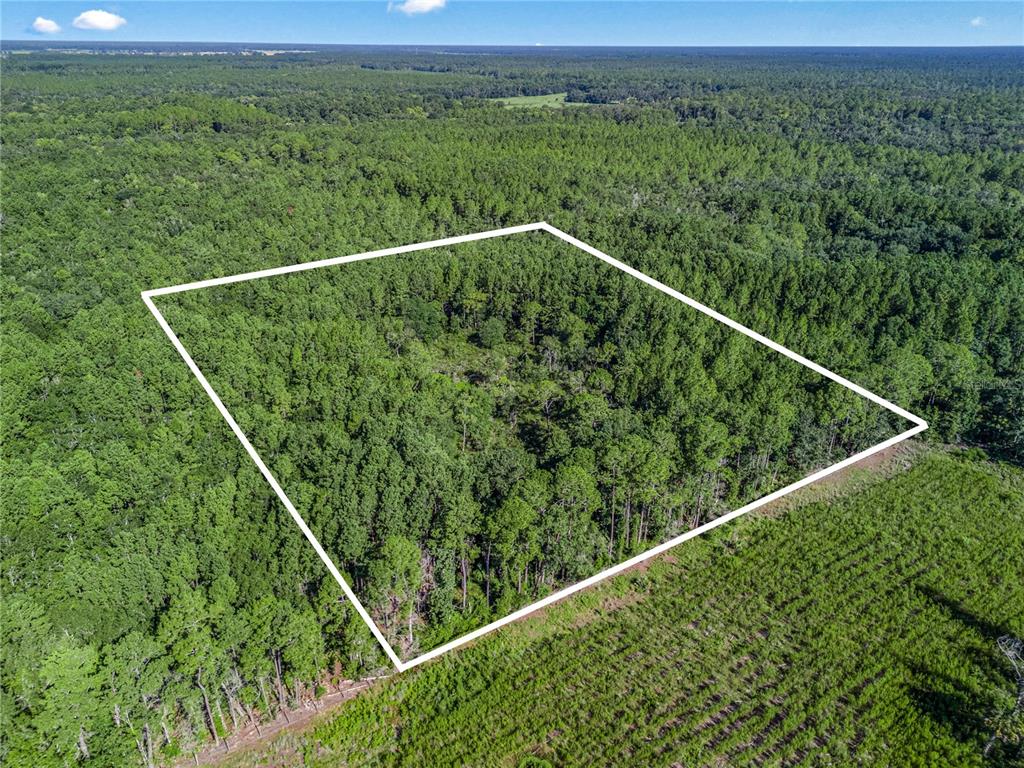 Northwest 150th Ave Road Micanopy, FL 32667 - Photo 9 of 17 a view of a forest from a balcony