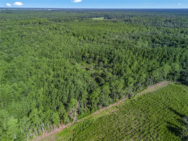 a view of a green field with lots of bushes