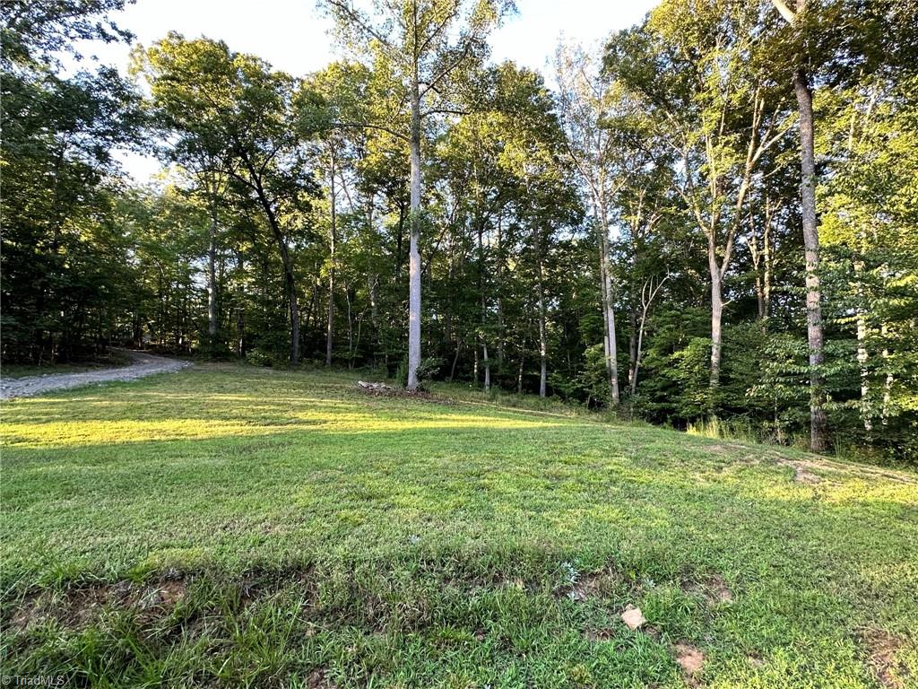 1743 Msn Ext Road Danbury, NC 27016 - Photo 11 of 32