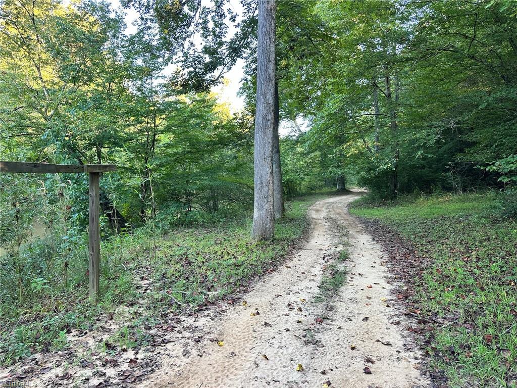 1743 Msn Ext Road Danbury, NC 27016 - Photo 20 of 32 Path to steps and beach area
