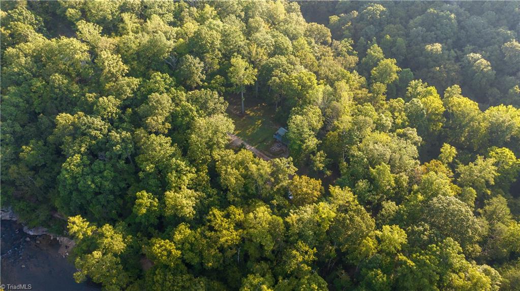 1743 Msn Ext Road Danbury, NC 27016 - Photo 32 of 32