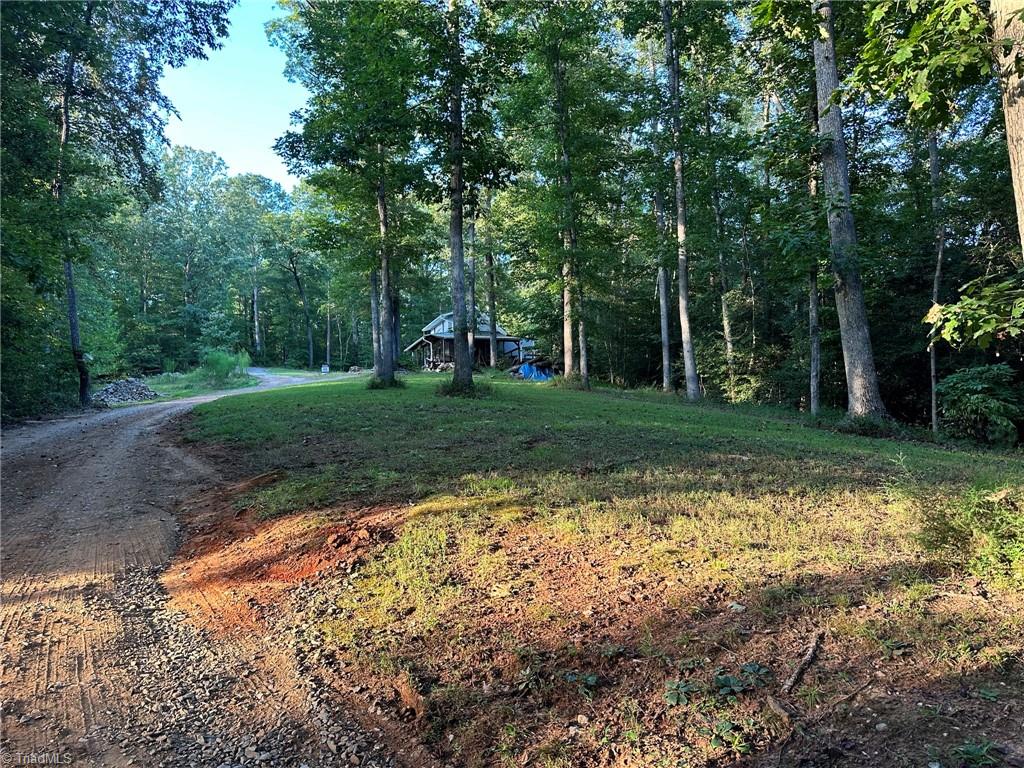 1743 Msn Ext Road Danbury, NC 27016 - Photo 7 of 32