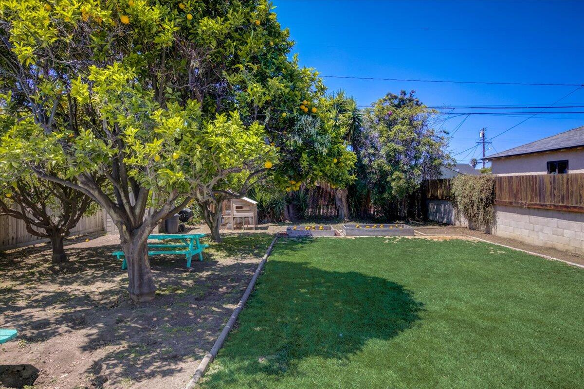 425 Howard Street Ventura, CA 93003 - Photo 28 of 31 a view of a backyard with large trees