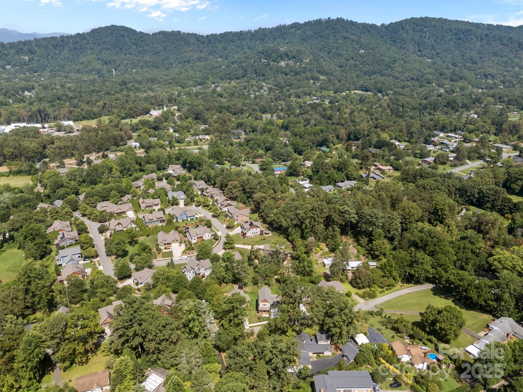 58 Pinedale Road Asheville, NC 28805 - Photo 3 of 24 a view of a forest with a city and mountain view